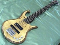 016_Zeus_front_per.JPG