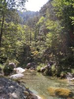 IMG_20180818_133015.jpg