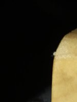 IMG_20191215_114033_1.jpg