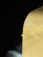 IMG_20191215_114030_1.jpg
