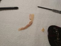 IMG_20200115_211212.jpg