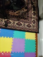 IMG_20201211_010137.jpg