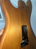 PXL_20210317_143412976.jpg
