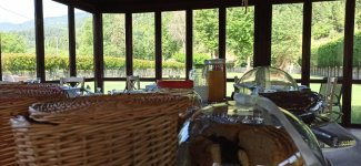 IMG_20210627_093904.jpg
