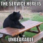 bear.jpg