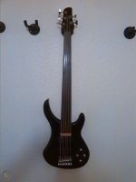 harper-string-fretless-bass_360_7fd0d9d1ee135ef6ce45c01be3587d94.jpg