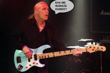 billy-sheehan-bassist-live-2013.jpg