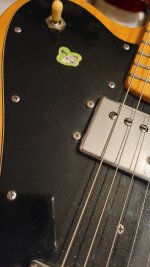 20220616_214651.jpg