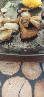 IMG_20220813_152559.jpg
