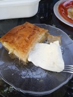 IMG_20220910_160436_1.jpg