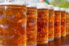 Beer.jpg