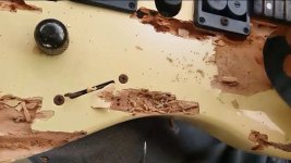 Woodworm.jpg