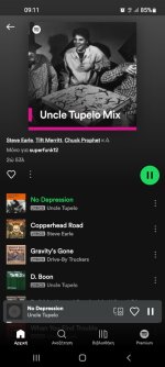 Screenshot_20221101-091134_Spotify.jpg