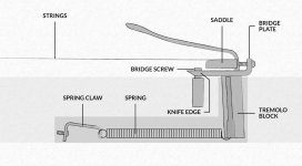 Guitar-Tremolo-Diagram-Set-Up-Your-Trem.jpg