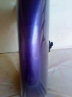 DSC00704.JPG