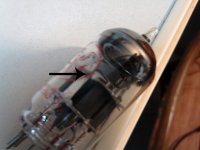 SNC00046_copy.jpg
