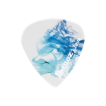 p_region_CP16XH_P10_0B_01_A.png