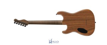 My-Halo-Custom-Guitar (1).jpg