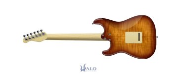 My-Halo-Custom-Guitar(3).jpg