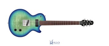 My-Halo-Custom-Guitar(4).jpg