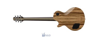 My-Halo-Custom-Guitar(3).jpg