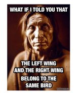 WINGS.jpg