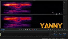 Npap test - Yanny.jpg