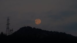 DSCF9950.JPG