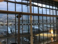 IMG_4281.jpeg