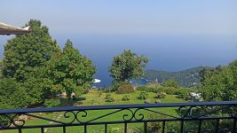 IMG_20230824_150955.jpg