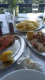 IMG_20230825_142655.jpg
