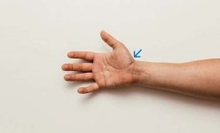 What-Does-a-Hand-Specialist-Do.jpg