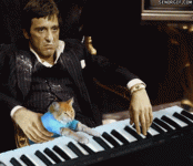 scarface-cat-piano-yaralıyüz.gif