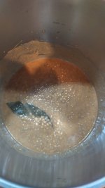 IMG_20230905_124024.jpg
