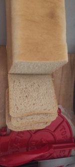 IMG_20230906_080631.jpg