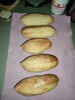 IMG_20201027_013430.jpg
