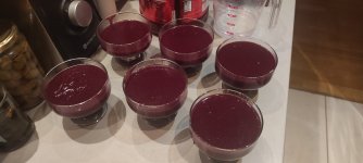 IMG_20220926_210341.jpg