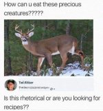 FB_IMG_1698096995481.jpg