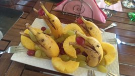 IMG_20231029_153426.jpg