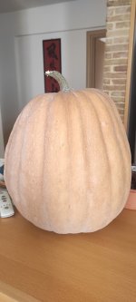 IMG_20221127_135940.jpg