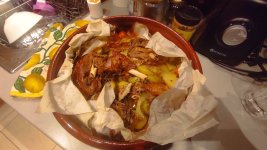 IMG_20231126_235235.jpg