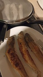 IMG_20231130_181400.jpg