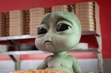 image.jpeg