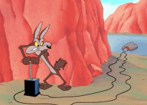 image.gif