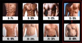 Body-Fat-Levels-696x364.png