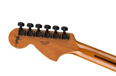 Starcaster back.jpg