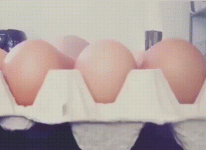 image.gif