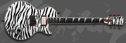 zebra.jpg