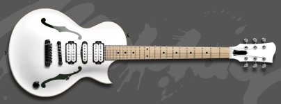custom_les_paul.JPG