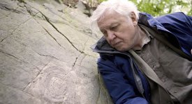 david%20attenborough%20blog%202.jpg